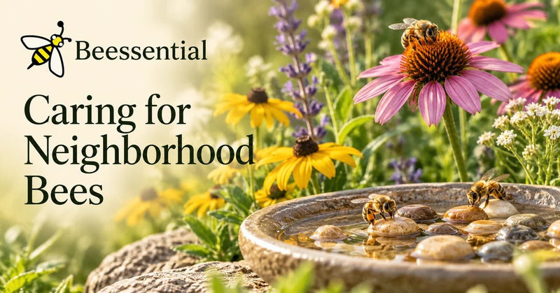 Caring for Your Neighborhood Bees - Beessential