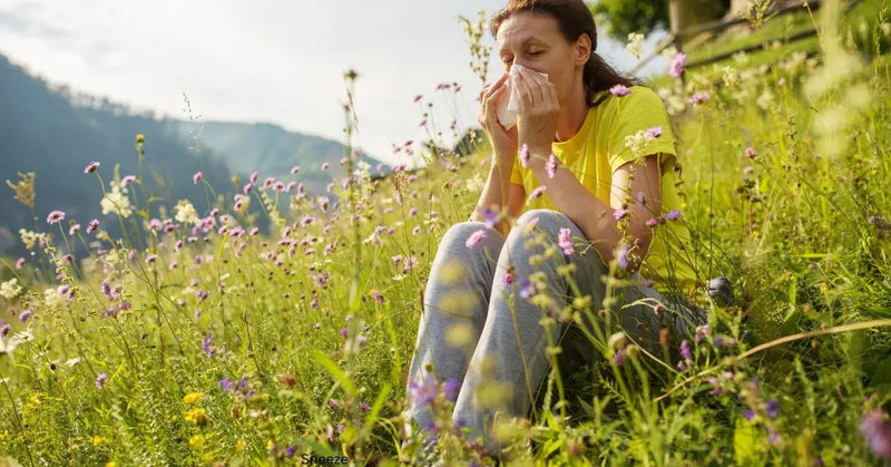 Honey and Allergy Relief: Do These Two  Go Together?