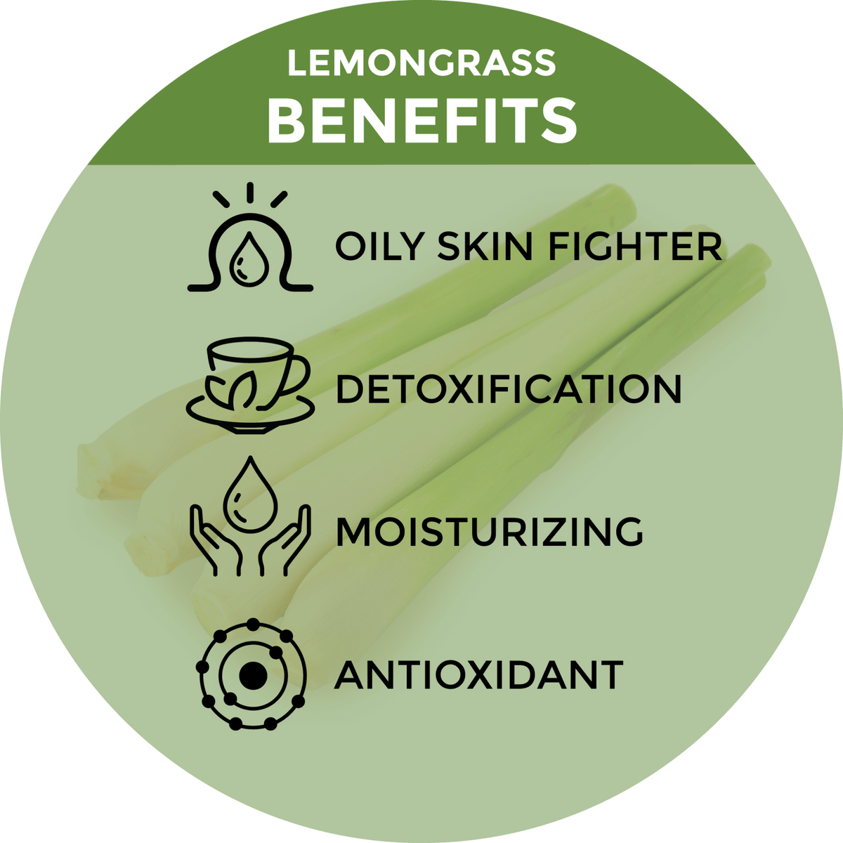 Lemongrass Body Wash (Natural & Hydrating) | Sulfate - Free - Beessential