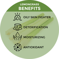 Lemongrass Body Wash (Natural & Hydrating) | Sulfate - Free - Beessential