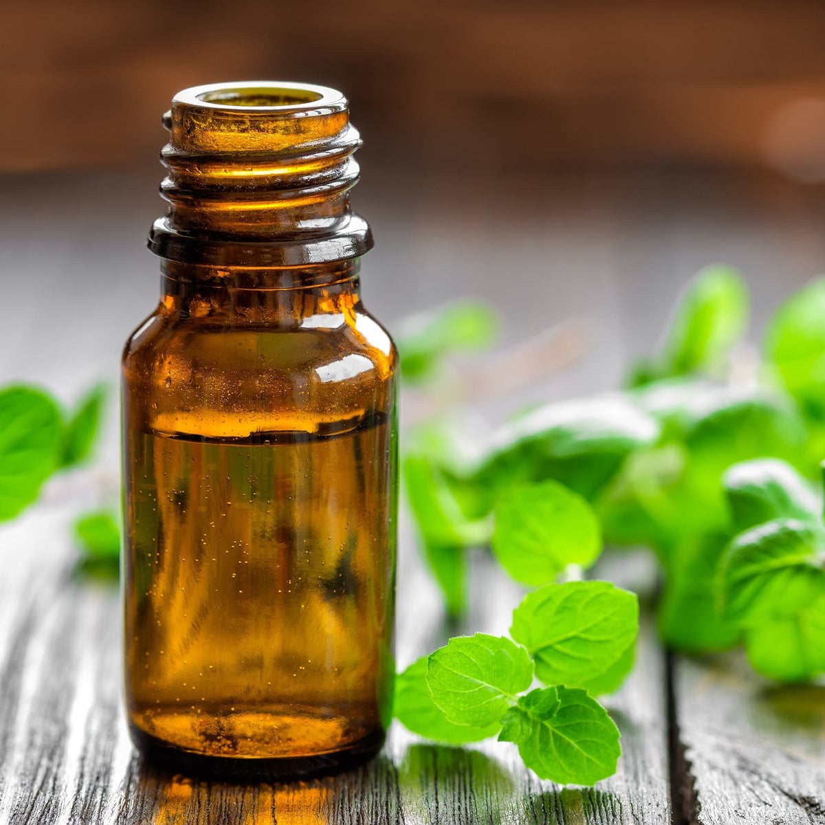 Spearmint Lime Body Wash - Beessential